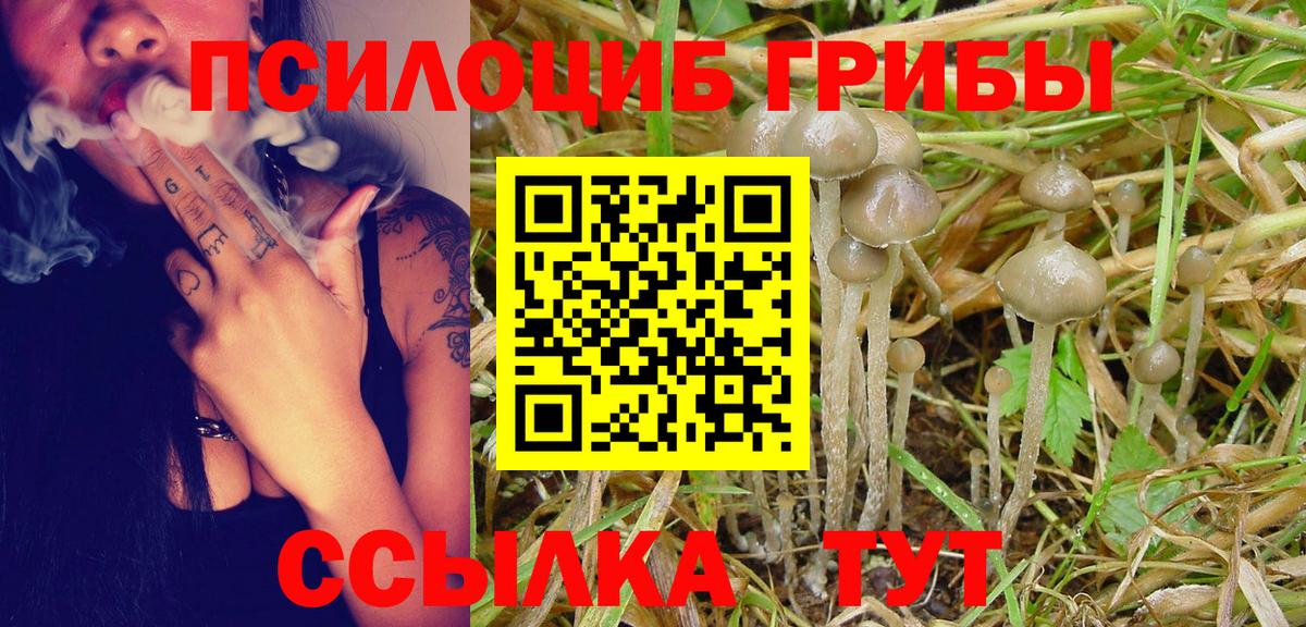 Галлюциногенные грибы мицелий Тимашёвск